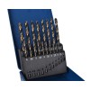 HSS metalbor 19 stk 1-10 mm - bronze oxid coating