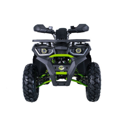 ATV - 175 kg - 169 cc
