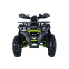 ATV - 175 kg - 169 cc