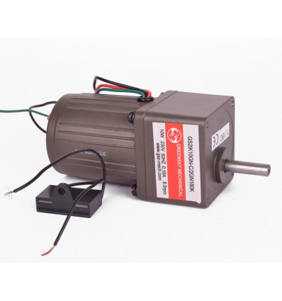 Gearmotor 10w. 8rpm 230v. 1:180