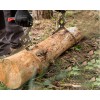 Skovtang - håndmodel - 300 mm