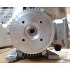 Hydraulikpumpe - el brændekløver 22 tons (13/1.8)