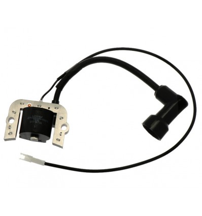 Tændspole til Loncin LC1P96F motor