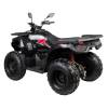 Loncin ATV - 200