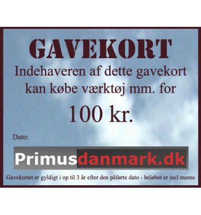 Gavekort 100 kr