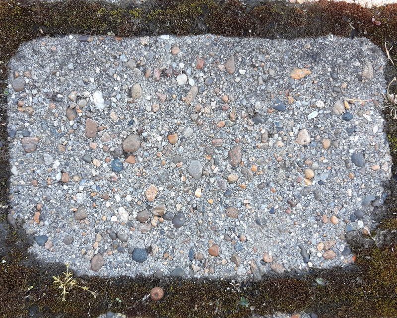 Hjertingsten - ca 20 år