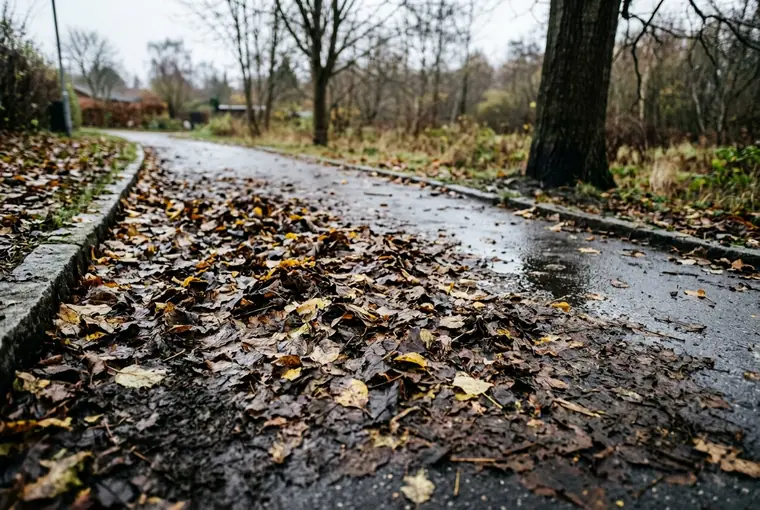 Vådt nedfaldsløv der ligger tykt og glat på en flisesti